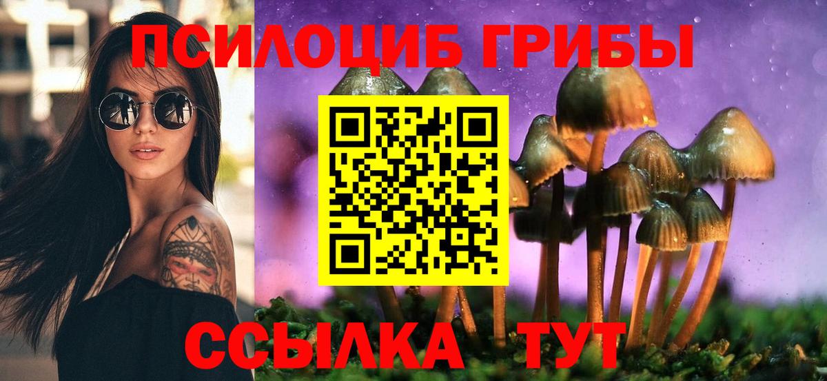 Ртищево  Галлюциногенные грибы GOLDEN TEACHER  Вход с VPN  Псилоцибиновые грибы мицелий 
