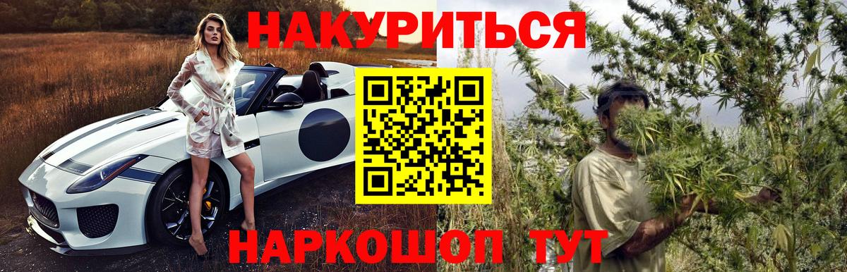 Ртищево  МАРИХУАНА сатива  Канабис план  Канабис план  Вход с VPN 